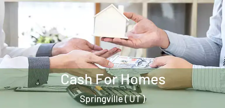  Cash For Homes Springville ( UT )
