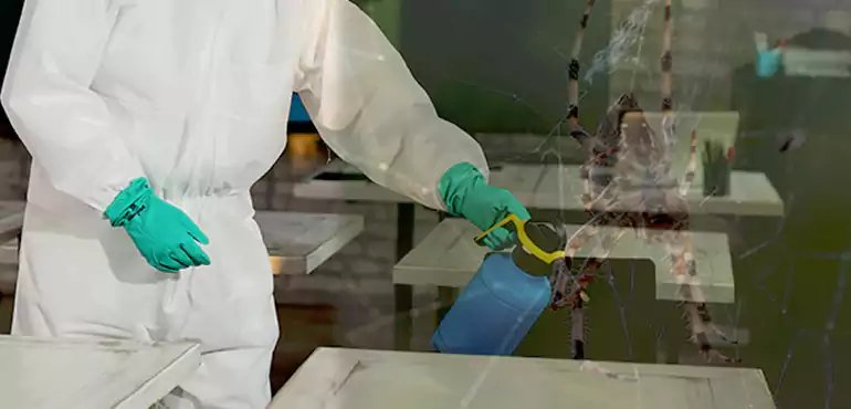 Why Buyers Still Want Homes With Pest Infestations in Provo, UT?