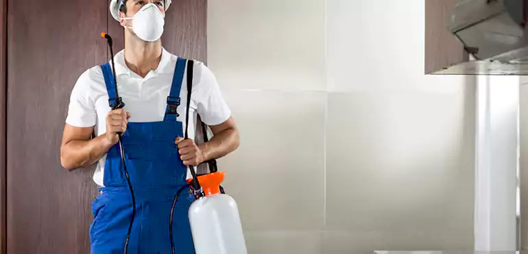 Why Provo Homeowners Choose Us When Pests Make Selling Difficult