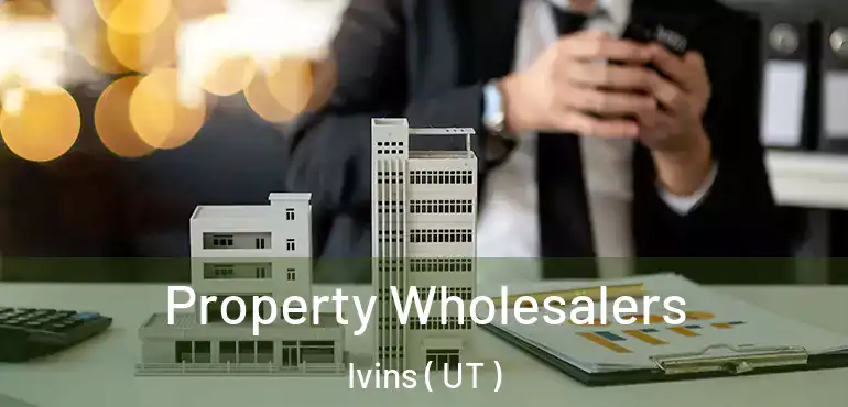  Property Wholesalers Ivins ( UT )