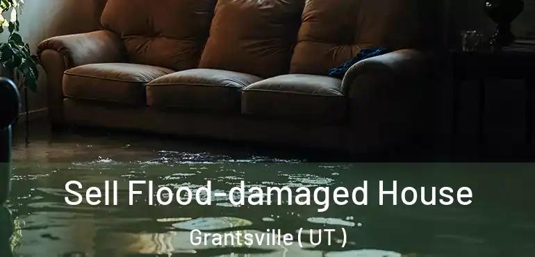  Sell Flood-damaged House Grantsville ( UT )