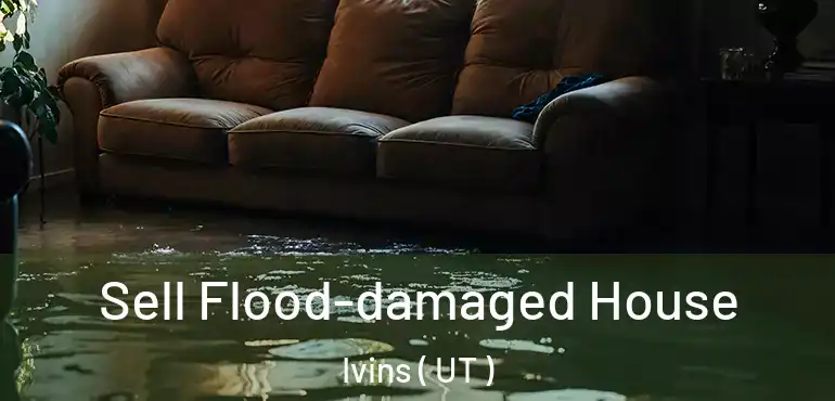  Sell Flood-damaged House Ivins ( UT )