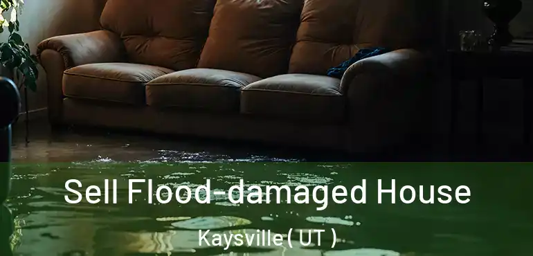  Sell Flood-damaged House Kaysville ( UT )