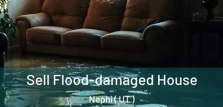  Sell Flood-damaged House Nephi ( UT )