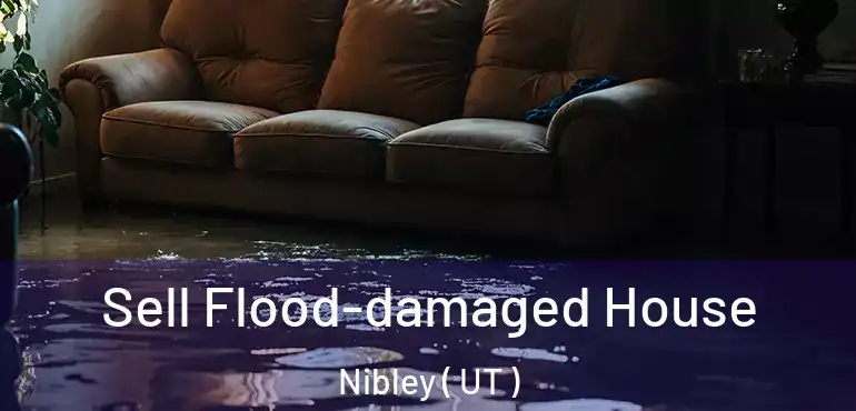  Sell Flood-damaged House Nibley ( UT )