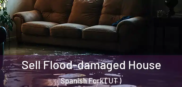  Sell Flood-damaged House Spanish Fork ( UT )