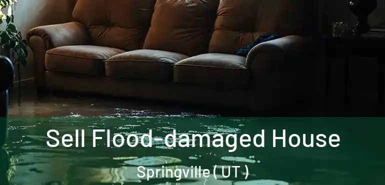  Sell Flood-damaged House Springville ( UT )