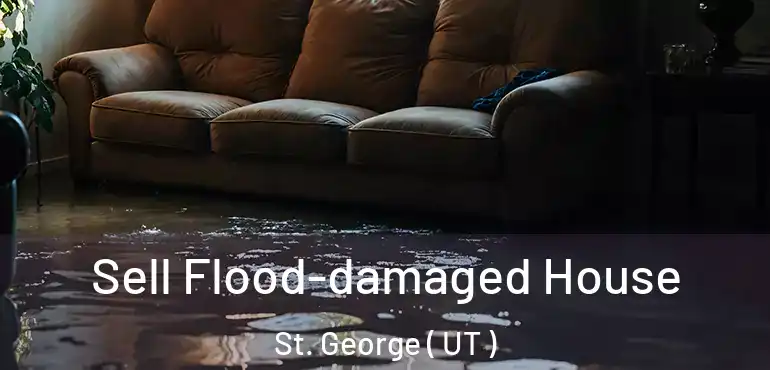  Sell Flood-damaged House St. George ( UT )
