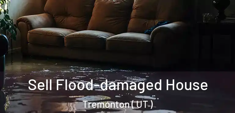  Sell Flood-damaged House Tremonton ( UT )