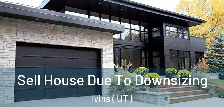  Sell House Due To Downsizing Ivins ( UT )