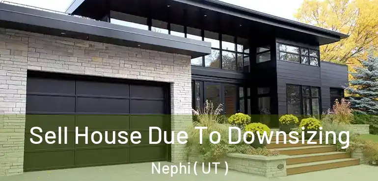  Sell House Due To Downsizing Nephi ( UT )