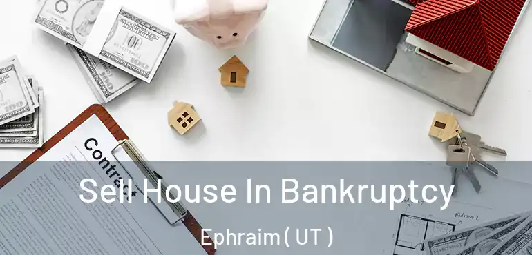  Sell House In Bankruptcy Ephraim ( UT )
