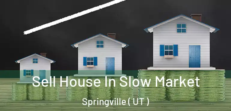  Sell House In Slow Market Springville ( UT )