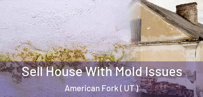 Sell House With Mold Issues American Fork ( UT )
