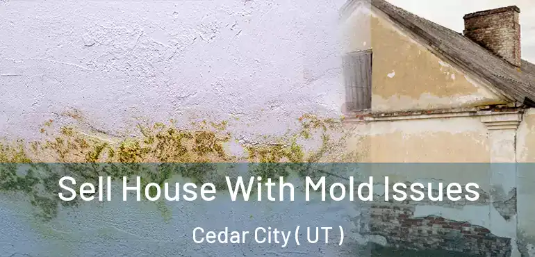  Sell House With Mold Issues Cedar City ( UT )