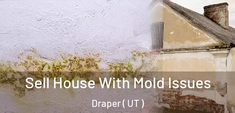  Sell House With Mold Issues Draper ( UT )