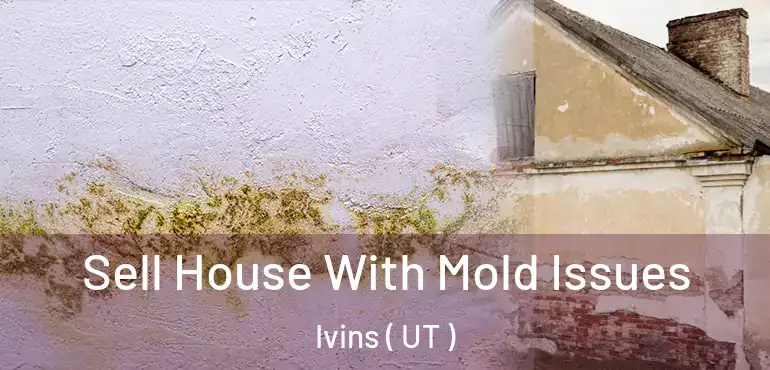  Sell House With Mold Issues Ivins ( UT )