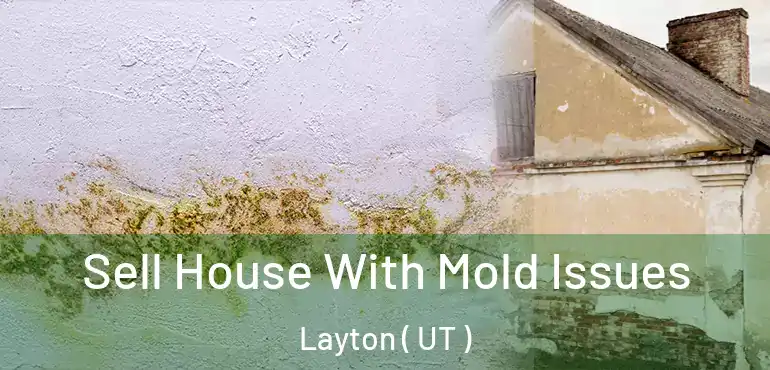  Sell House With Mold Issues Layton ( UT )