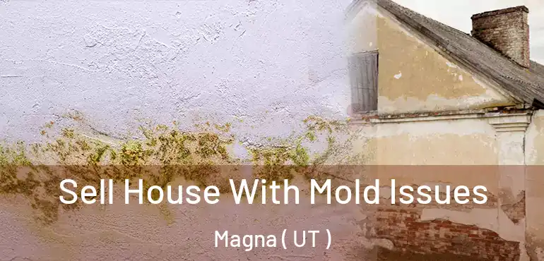  Sell House With Mold Issues Magna ( UT )
