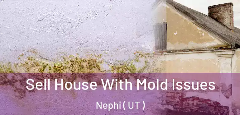  Sell House With Mold Issues Nephi ( UT )