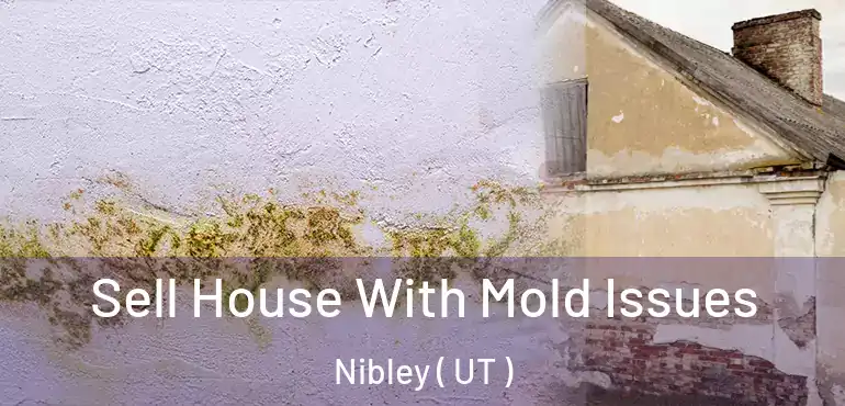  Sell House With Mold Issues Nibley ( UT )