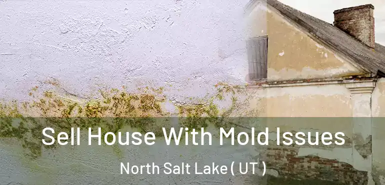 Sell House With Mold Issues North Salt Lake ( UT )