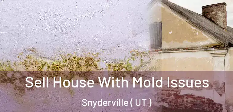  Sell House With Mold Issues Snyderville ( UT )