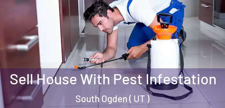  Sell House With Pest Infestation South Ogden ( UT )