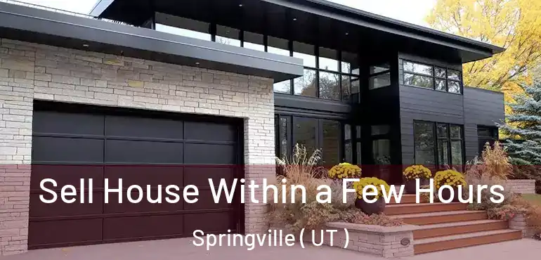 Sell House Within a Few Hours Springville ( UT )
