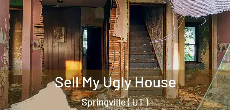  Sell My Ugly House Springville ( UT )